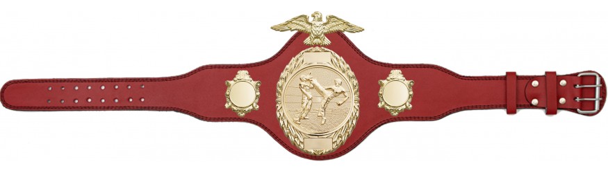 KICKBOXING CHAMPIONSHIP BELT - PLT288/G/KBOG-4 COLOURS KICKBOXING CHAMPIONSHIP BELT - PLT288/G/KBOG-4 COLOURS
